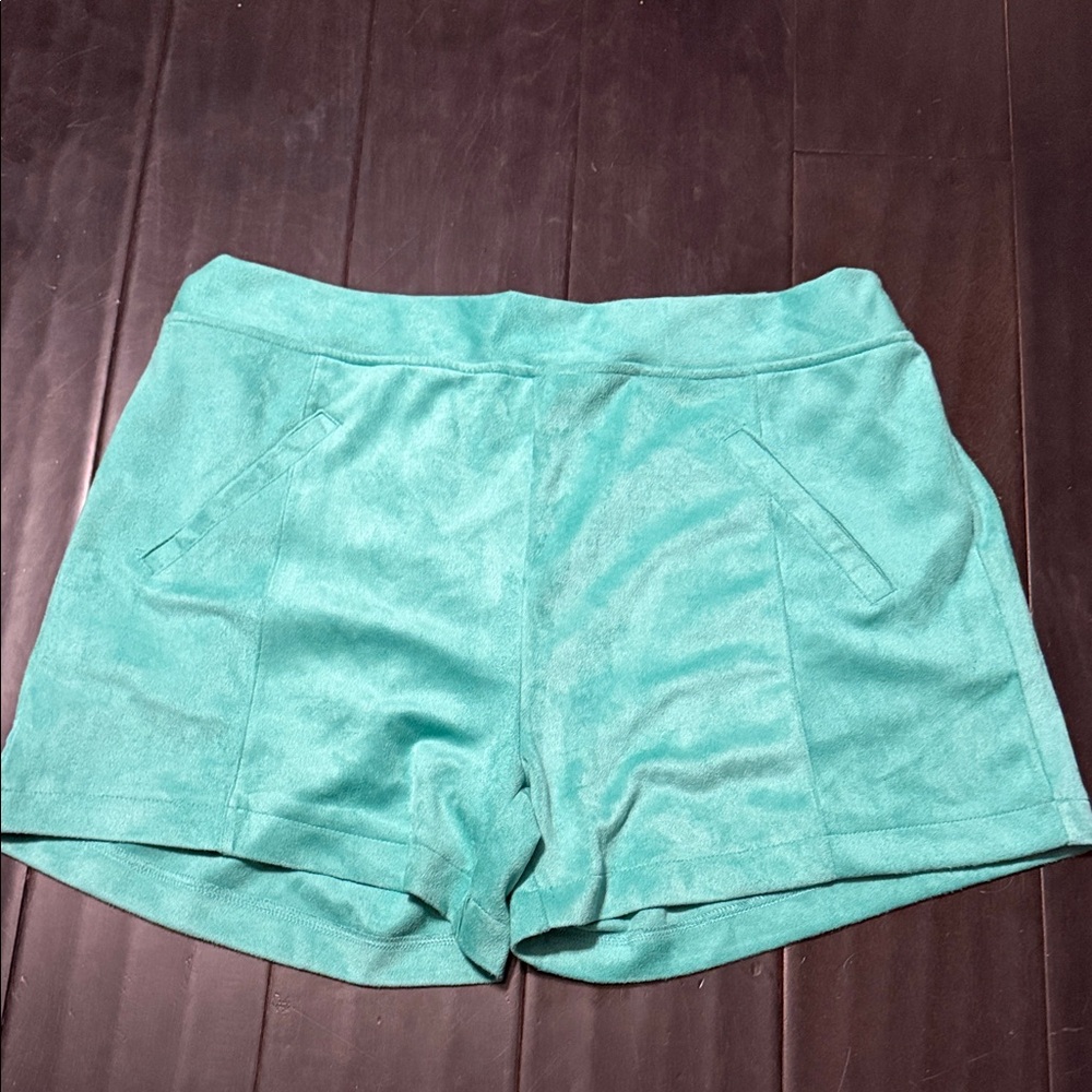 Crazy Train High Waist Teal Suede Shorts